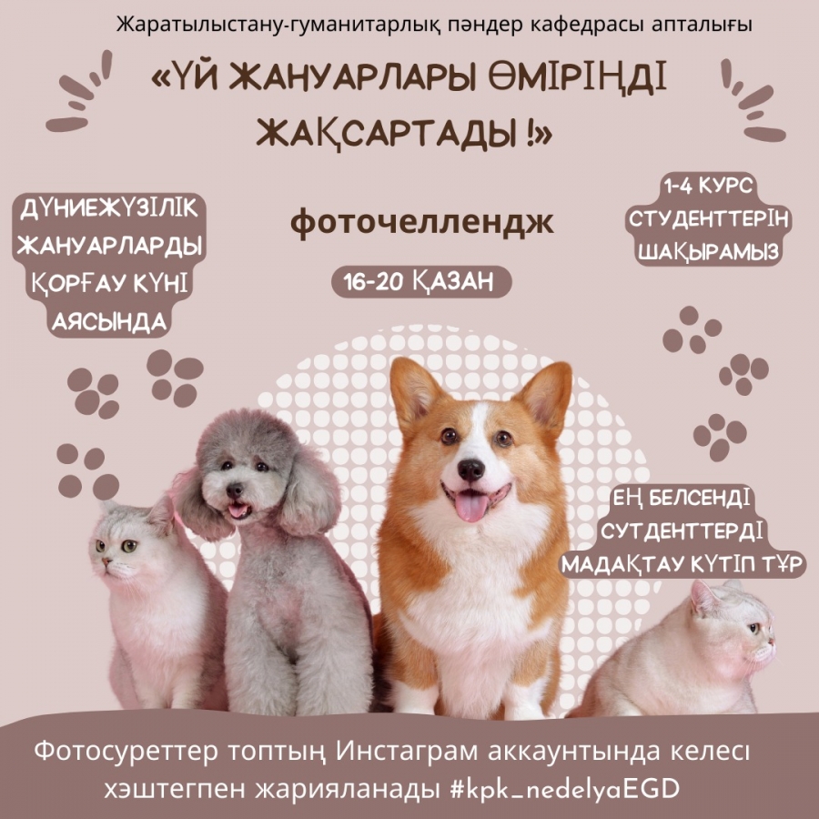 Үй жануарлары өміріңді жақсартады!
