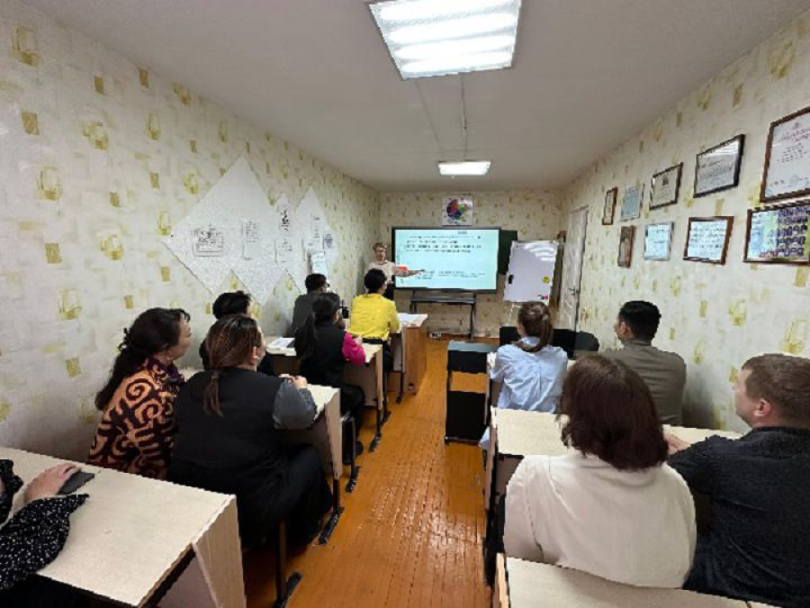 Курстан кейінгі сүйемелдеу Қостанай жоғары педагогикалық колледжі педагогтарының кәсіби құзыреттілігін дамыту факторы ретінде